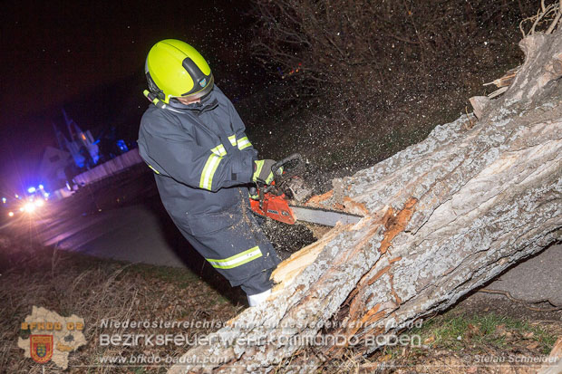 20161202 Sturm Theresa – Foto: Bezirksfeuerwehrkommando Baden 20161202 Sturm Theresa – Foto: Bezirksfeuerwehrkommando Baden