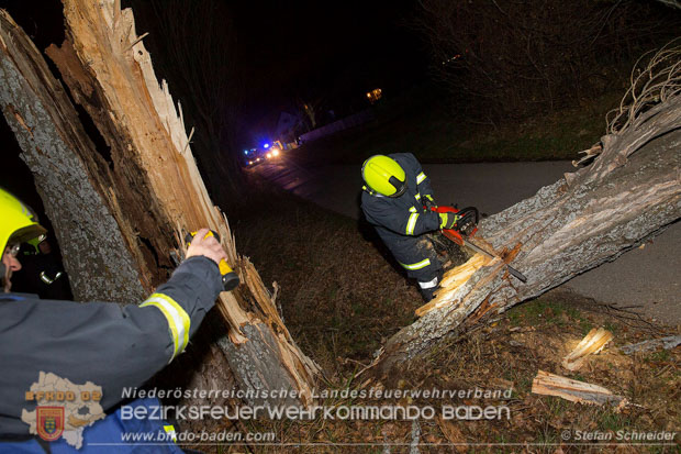 20161202 Sturm Theresa – Foto: Bezirksfeuerwehrkommando Baden 20161202 Sturm Theresa – Foto: Bezirksfeuerwehrkommando Baden