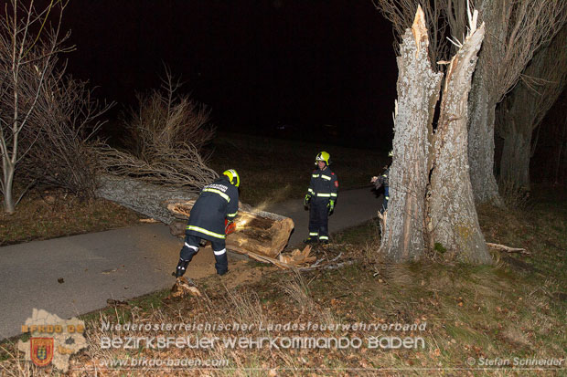 20161202 Sturm Theresa – Foto: Bezirksfeuerwehrkommando Baden 20161202 Sturm Theresa – Foto: Bezirksfeuerwehrkommando Baden