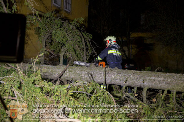 20161202 Sturm Theresa – Foto: Bezirksfeuerwehrkommando Baden 20161202 Sturm Theresa – Foto: Bezirksfeuerwehrkommando Baden