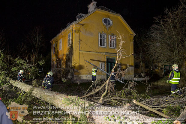 20161202 Sturm Theresa – Foto: Bezirksfeuerwehrkommando Baden 20161202 Sturm Theresa – Foto: Bezirksfeuerwehrkommando Baden
