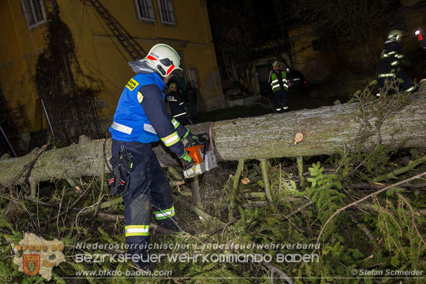 20161202 Sturm Theresa – Foto: Bezirksfeuerwehrkommando Baden 20161202 Sturm Theresa – Foto: Bezirksfeuerwehrkommando Baden