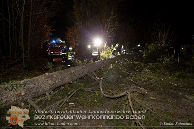 20161202 Sturm Theresa – Foto: Bezirksfeuerwehrkommando Baden 20161202 Sturm Theresa – Foto: Bezirksfeuerwehrkommando Baden