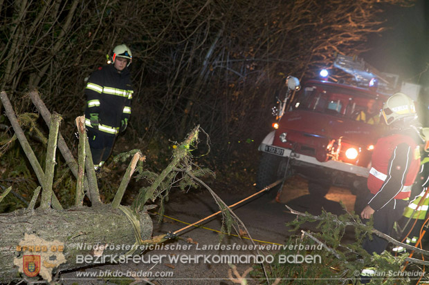 20161202 Sturm Theresa – Foto: Bezirksfeuerwehrkommando Baden 20161202 Sturm Theresa – Foto: Bezirksfeuerwehrkommando Baden