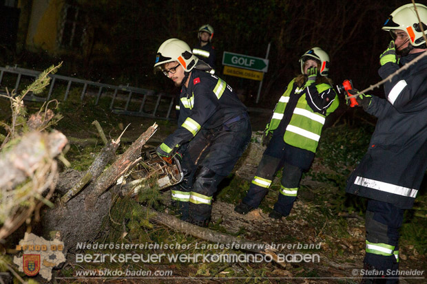 20161202 Sturm Theresa – Foto: Bezirksfeuerwehrkommando Baden 20161202 Sturm Theresa – Foto: Bezirksfeuerwehrkommando Baden