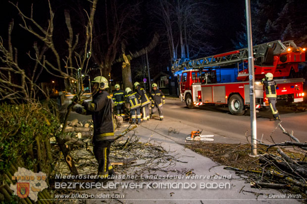 20161202 Sturm Theresa – Foto: Bezirksfeuerwehrkommando Baden 20161202 Sturm Theresa – Foto: Bezirksfeuerwehrkommando Baden