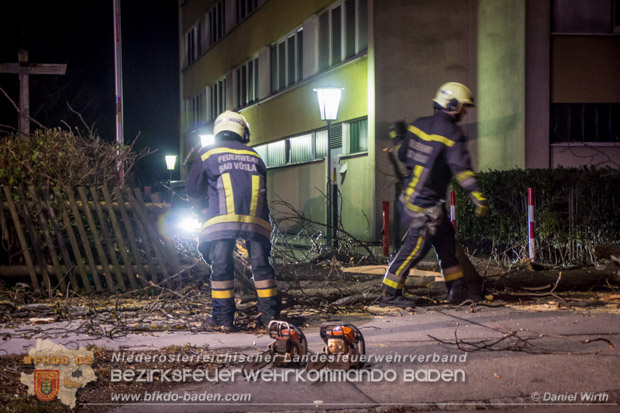 20161202 Sturm Theresa – Foto: Bezirksfeuerwehrkommando Baden 20161202 Sturm Theresa – Foto: Bezirksfeuerwehrkommando Baden