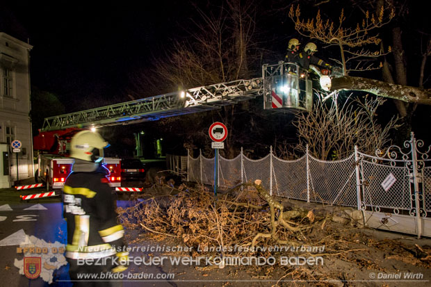 20161202 Sturm Theresa – Foto: Bezirksfeuerwehrkommando Baden 20161202 Sturm Theresa – Foto: Bezirksfeuerwehrkommando Baden