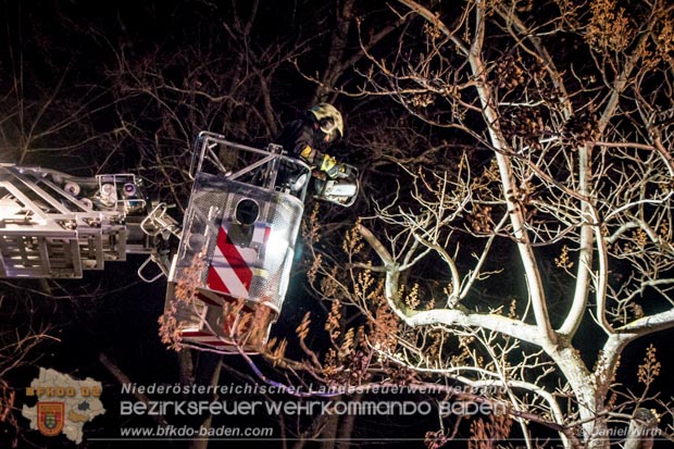 20161202 Sturm Theresa – Foto: Bezirksfeuerwehrkommando Baden 20161202 Sturm Theresa – Foto: Bezirksfeuerwehrkommando Baden