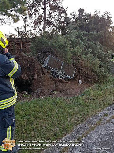20161202 Sturm Theresa – Foto: Bezirksfeuerwehrkommando Baden 20161202 Sturm Theresa – Foto: Bezirksfeuerwehrkommando Baden