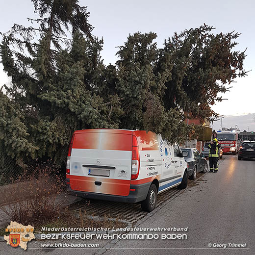 20161202 Sturm Theresa – Foto: Bezirksfeuerwehrkommando Baden 20161202 Sturm Theresa – Foto: Bezirksfeuerwehrkommando Baden