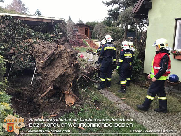 20161202 Sturm Theresa – Foto: Bezirksfeuerwehrkommando Baden 20161202 Sturm Theresa – Foto: Bezirksfeuerwehrkommando Baden