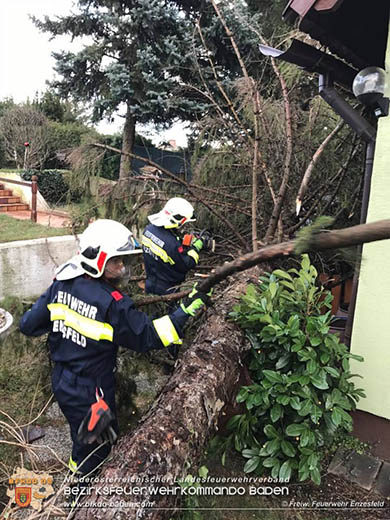 20161202 Sturm Theresa – Foto: Bezirksfeuerwehrkommando Baden 20161202 Sturm Theresa – Foto: Bezirksfeuerwehrkommando Baden