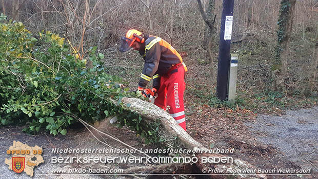 20161202 Sturm Theresa – Foto: Bezirksfeuerwehrkommando Baden 20161202 Sturm Theresa – Foto: Bezirksfeuerwehrkommando Baden