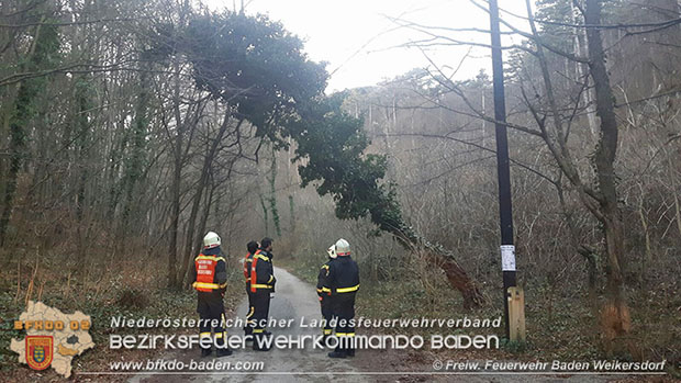 20161202 Sturm Theresa – Foto: Bezirksfeuerwehrkommando Baden 20161202 Sturm Theresa – Foto: Bezirksfeuerwehrkommando Baden
