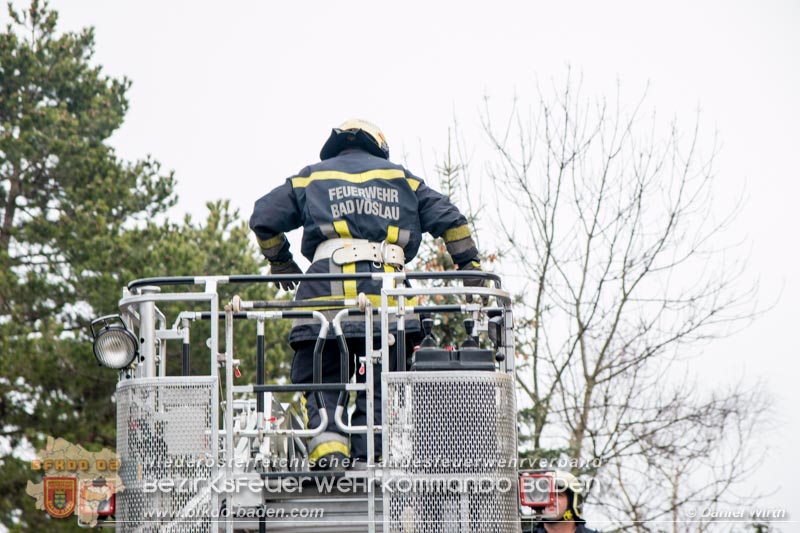 20161224 Tueroeffnung Bad Voeslau  Foto: © Daniel Wirth