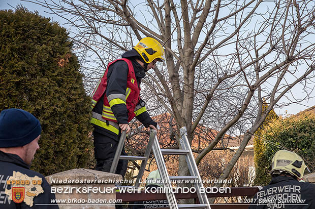 20170101 Kleinbrand in einem Garten in Traiskirchen  Foto: © Stefan Schneider