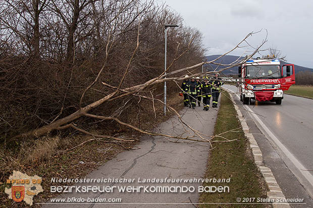 20170104 Strumtief "Axel" ueber den Bezirk Baden  Foto: Stefan Schneider