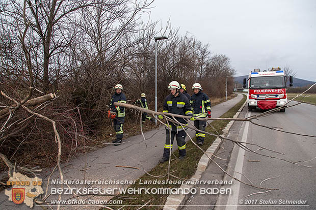 20170104 Strumtief "Axel" ueber den Bezirk Baden  Foto: Stefan Schneider