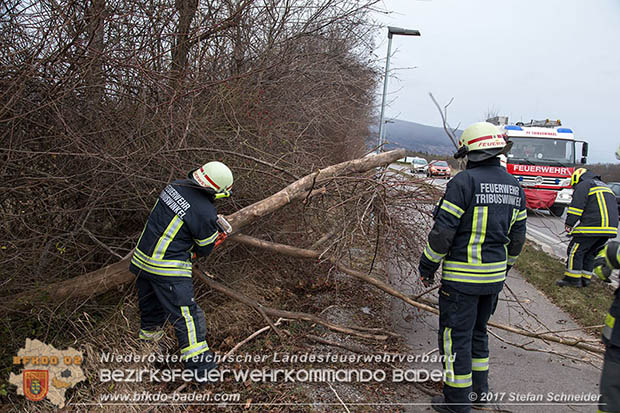 20170104 Strumtief "Axel" ueber den Bezirk Baden  Foto: Stefan Schneider