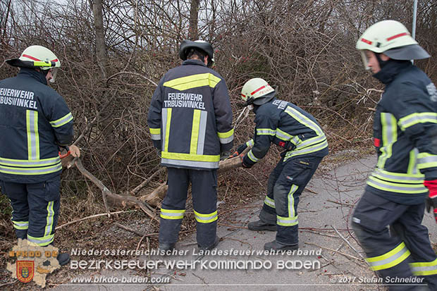 20170104 Strumtief "Axel" ueber den Bezirk Baden  Foto: Stefan Schneider