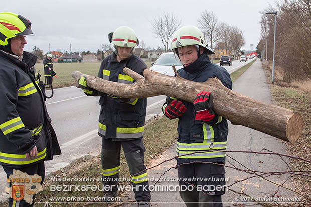 20170104 Strumtief "Axel" ueber den Bezirk Baden  Foto: Stefan Schneider