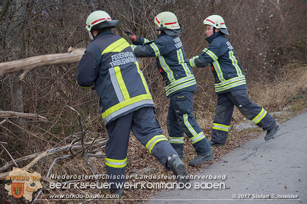 20170104 Strumtief "Axel" ueber den Bezirk Baden  Foto: Stefan Schneider