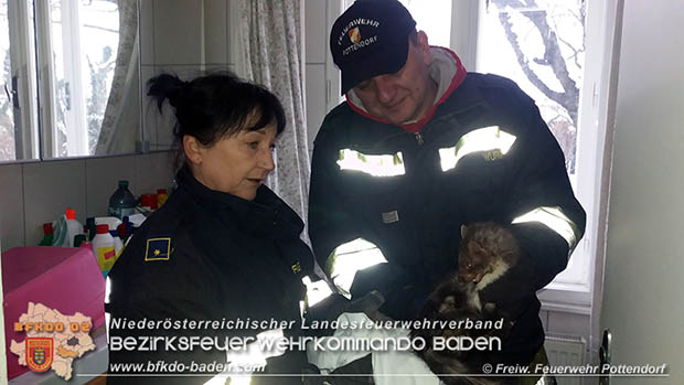 20170109 Mader verschanzte sich hinter Waschmaschine  Foto: © Freiwilige Feuerwehr Pottendorf