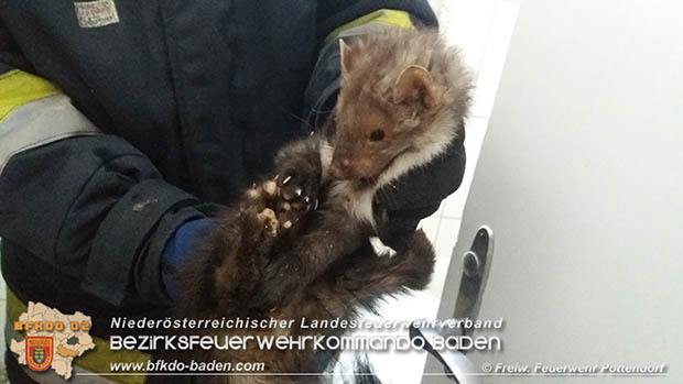 20170109 Mader verschanzte sich hinter Waschmaschine Foto: © Freiwilige Feuerwehr Pottendorf 20170109 Mader verschanzte sich hinter Waschmaschine Foto: © Freiwilige Feuerwehr Pottendorf