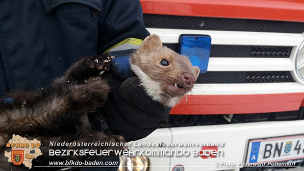 20170109 Mader verschanzte sich hinter Waschmaschine Foto: © Freiwilige Feuerwehr Pottendorf 20170109 Mader verschanzte sich hinter Waschmaschine Foto: © Freiwilige Feuerwehr Pottendorf