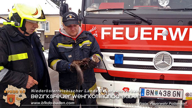 20170109 Mader verschanzte sich hinter Waschmaschine Foto: © Freiwilige Feuerwehr Pottendorf 20170109 Mader verschanzte sich hinter Waschmaschine Foto: © Freiwilige Feuerwehr Pottendorf