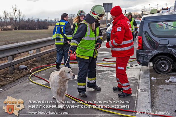20170115 Schwerer Verkehrsunfall mit eingeklemmter Person A2 Süd-Autobahn bei Guntramsdorf Foto: © Stefan Schneider 20170115 Schwerer Verkehrsunfall mit eingeklemmter Person A2 Süd-Autobahn bei Guntramsdorf Foto: © Stefan Schneider