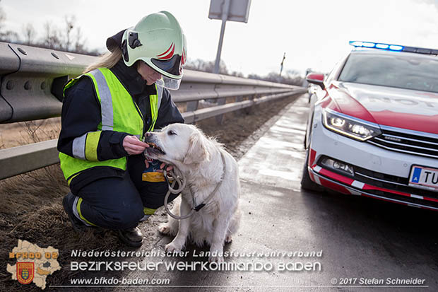20170115 Schwerer Verkehrsunfall mit eingeklemmter Person A2 Süd-Autobahn bei Guntramsdorf Foto: © Stefan Schneider 20170115 Schwerer Verkehrsunfall mit eingeklemmter Person A2 Süd-Autobahn bei Guntramsdorf Foto: © Stefan Schneider