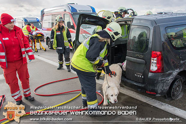 20170115 Schwerer Verkehrsunfall mit eingeklemmter Person A2 Süd-Autobahn bei Guntramsdorf Foto: © Manfred BAUER Pressefotografie 20170115 Schwerer Verkehrsunfall mit eingeklemmter Person A2 Süd-Autobahn bei Guntramsdorf Foto: © Manfred BAUER Pressefotografie
