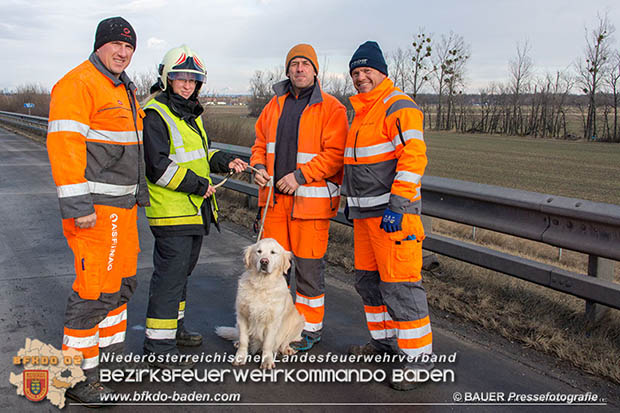 20170115 Schwerer Verkehrsunfall mit eingeklemmter Person A2 Süd-Autobahn bei Guntramsdorf Foto: © Manfred BAUER Pressefotografie 20170115 Schwerer Verkehrsunfall mit eingeklemmter Person A2 Süd-Autobahn bei Guntramsdorf Foto: © Manfred BAUER Pressefotografie