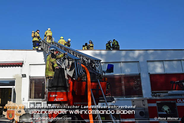 20170122 Großbrand bei Logistik Unternehmen in Wimpassing a.d.Leitha Bgld.  Foto: © ASB Rene Weiner AFK Ebreichsdorf