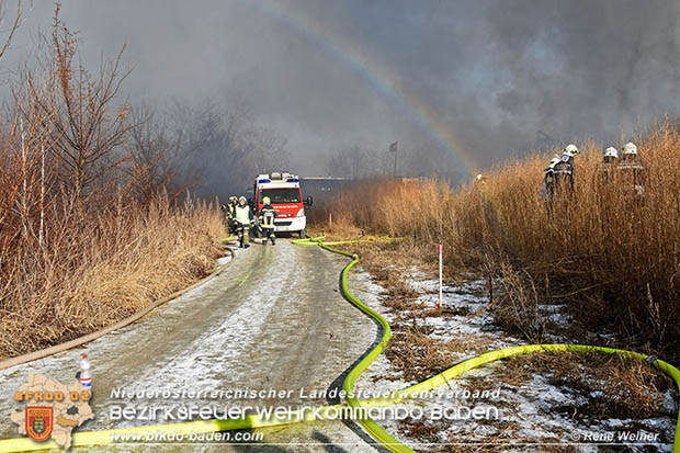 20170122 Großbrand bei Logistik Unternehmen in Wimpassing a.d.Leitha Bgld.  Foto: © ASB Rene Weiner AFK Ebreichsdorf