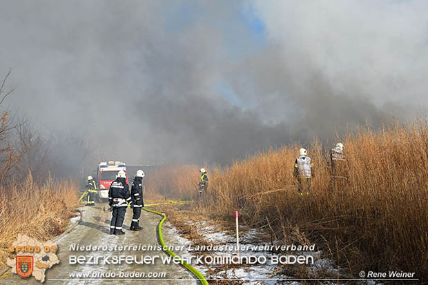20170122 Großbrand bei Logistik Unternehmen in Wimpassing a.d.Leitha Bgld.  Foto: © ASB Rene Weiner AFK Ebreichsdorf