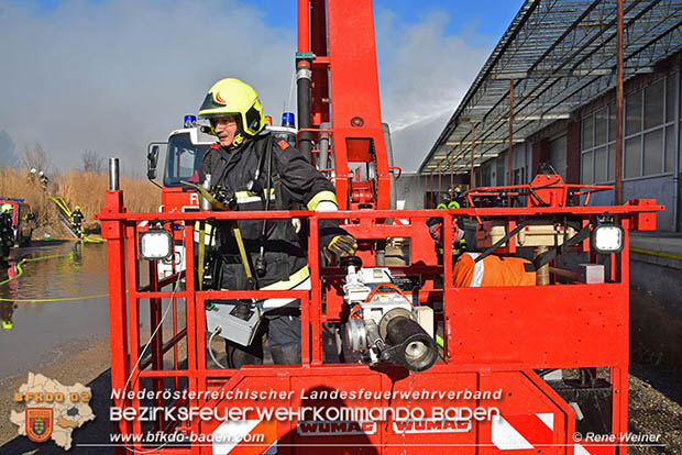 20170122 Großbrand bei Logistik Unternehmen in Wimpassing a.d.Leitha Bgld.  Foto: © ASB Rene Weiner AFK Ebreichsdorf