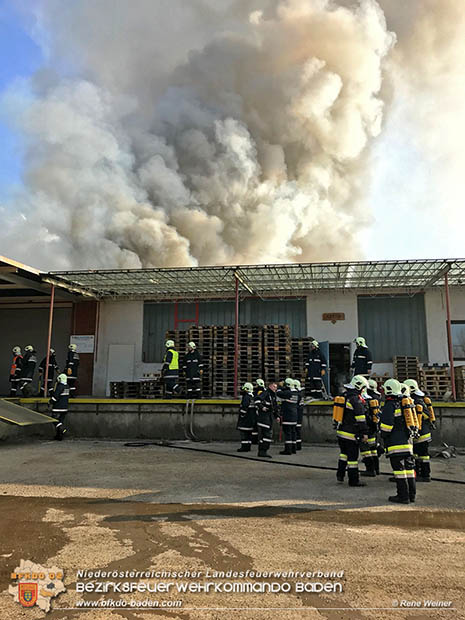 20170122 Großbrand bei Logistik Unternehmen in Wimpassing a.d.Leitha Bgld.  Foto: © ASB Rene Weiner AFK Ebreichsdorf
