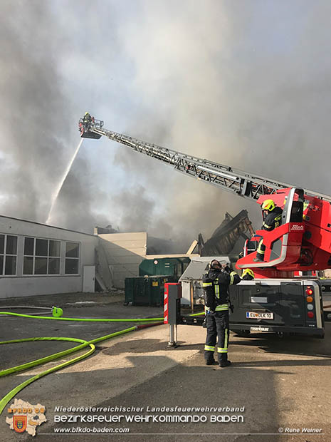 20170122 Großbrand bei Logistik Unternehmen in Wimpassing a.d.Leitha Bgld.  Foto: © ASB Rene Weiner AFK Ebreichsdorf