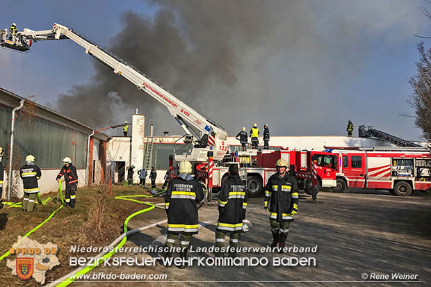 20170122 Großbrand bei Logistik Unternehmen in Wimpassing a.d.Leitha Bgld.  Foto: © ASB Rene Weiner AFK Ebreichsdorf
