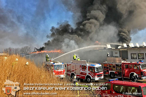 20170122 Großbrand bei Logistik Unternehmen in Wimpassing a.d.Leitha Bgld.  Foto: © ASB Rene Weiner AFK Ebreichsdorf
