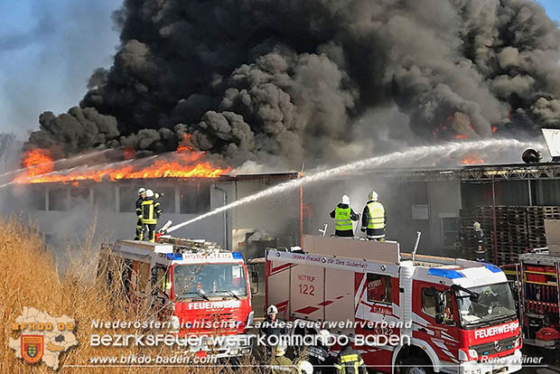 20170122 Großbrand bei Logistik Unternehmen in Wimpassing a.d.Leitha Bgld.  Foto: © ASB Rene Weiner AFK Ebreichsdorf