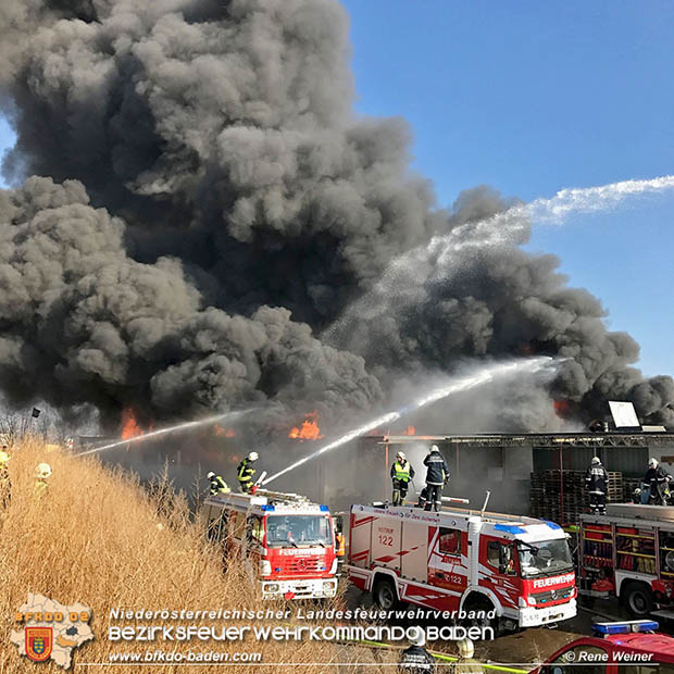 20170122 Großbrand bei Logistik Unternehmen in Wimpassing a.d.Leitha Bgld.  Foto: © ASB Rene Weiner AFK Ebreichsdorf
