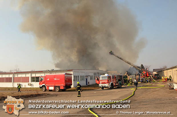 20170122 Großbrand bei Logistik Unternehmen in Wimpassing a.d.Leitha Bgld. Foto: © Thomas Lenger Monatsrevue.at 20170122 Großbrand bei Logistik Unternehmen in Wimpassing a.d.Leitha Bgld. Foto: © Thomas Lenger Monatsrevue.at