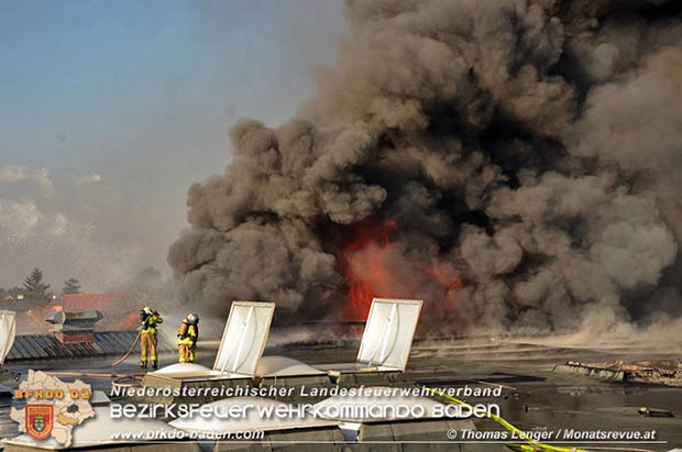 20170122 Großbrand bei Logistik Unternehmen in Wimpassing a.d.Leitha Bgld. Foto: © Thomas Lenger Monatsrevue.at 20170122 Großbrand bei Logistik Unternehmen in Wimpassing a.d.Leitha Bgld. Foto: © Thomas Lenger Monatsrevue.at