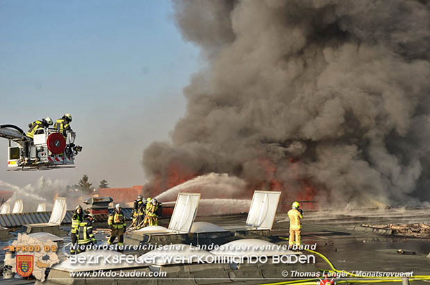 20170122 Großbrand bei Logistik Unternehmen in Wimpassing a.d.Leitha Bgld. Foto: © Thomas Lenger Monatsrevue.at 20170122 Großbrand bei Logistik Unternehmen in Wimpassing a.d.Leitha Bgld. Foto: © Thomas Lenger Monatsrevue.at