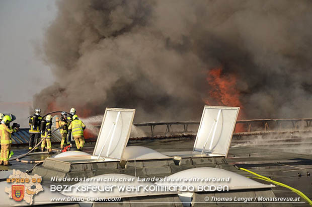 20170122 Großbrand bei Logistik Unternehmen in Wimpassing a.d.Leitha Bgld. Foto: © Thomas Lenger Monatsrevue.at 20170122 Großbrand bei Logistik Unternehmen in Wimpassing a.d.Leitha Bgld. Foto: © Thomas Lenger Monatsrevue.at