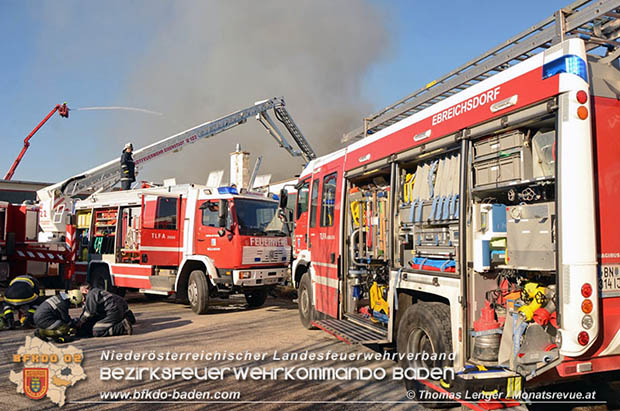 20170122 Großbrand bei Logistik Unternehmen in Wimpassing a.d.Leitha Bgld. Foto: © Thomas Lenger Monatsrevue.at 20170122 Großbrand bei Logistik Unternehmen in Wimpassing a.d.Leitha Bgld. Foto: © Thomas Lenger Monatsrevue.at